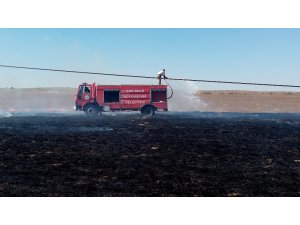 Elektrik tellerine çarpan kuş yangın çıkardı