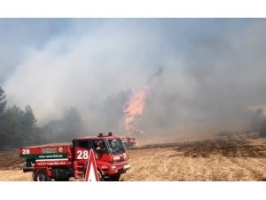 Balıkesir’de çıkan orman yangını söndürüldü