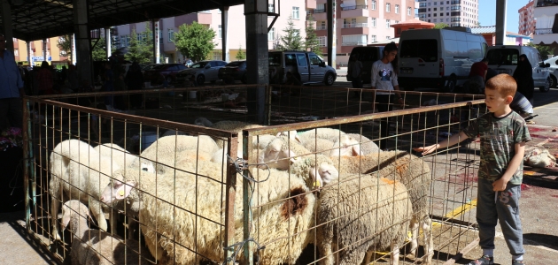 Konya’da Kurban Bayramı manzaraları