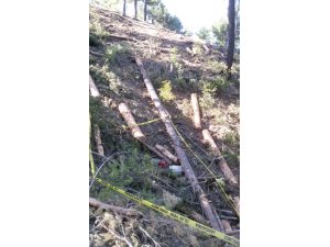 Kayıp orman işçisinin tomruk altında cesedi bulundu