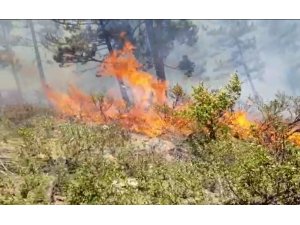 Alaçam Dağları’nda orman yangını başladı