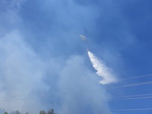 GÜNCELLEME - Balıkesir'de orman yangını