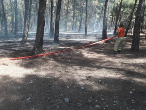 Kahramanmaraş'ta orman yangını