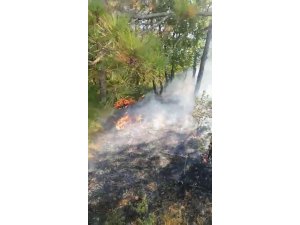 Gebze’de orman ve çalılık alan yangını