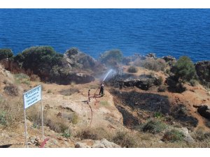 Antalya falezlerde makilik yangını