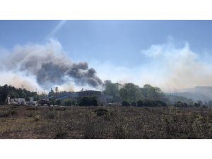 Ormanlık yangını fabrikaya sıçradı
