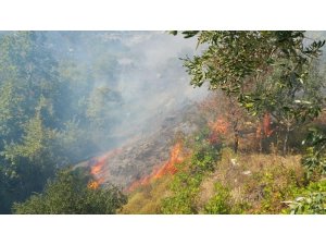 Marmara Adası’nda kontrol altına alınan yangın tekrar başladı