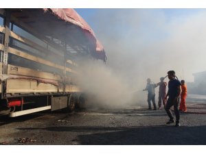 Fabrikaya sıçrayan orman yangınına müdahale sürüyor