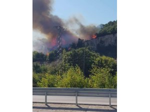 Biga’da orman yangını