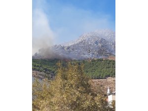 GÜNCELLEME 3 - Balıkesir'de orman yangını