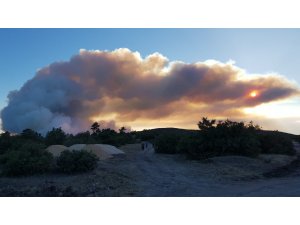 Kütahya'da orman yangını