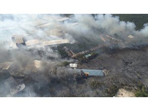 Fabrikaya sıçrayan yangında 30 hektarlık ormanlık alan zarar gördü