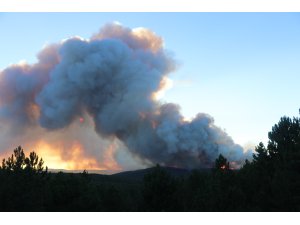 GÜNCELLEME - Kütahya'da orman yangını