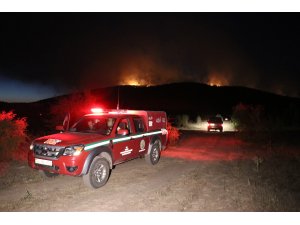 Kütahya'daki orman yangını