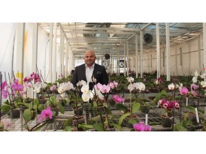 "Çöplük"te açan orkideler