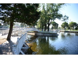 GÜNCELLEME - Sakarya'da süs havuzunda erkek cesedi bulundu