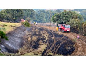 Çanakkale'deki orman yangını