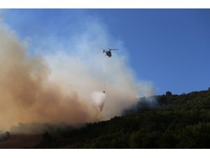 Yenişehir’deki orman yangınında yeni gelişme