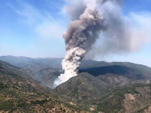 İzmir’de orman yangını