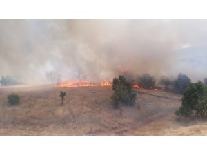 Ormanlık alanda yangın