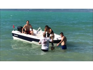 GÜNCELLEME - Serinlemek için girdiği gölde kayboldu