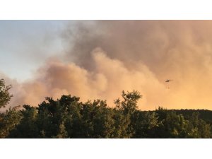 Eskişehir’de orman yangını