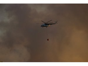 Eskişehir’deki orman yangınını söndürme çalışmaları sürüyor