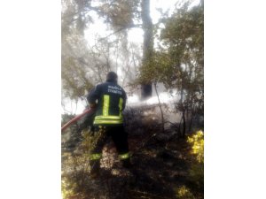 Yangına itfaiyeden zamanında müdahale