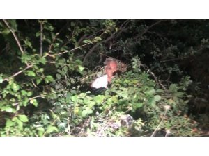 Uludağ’da mahsur kalan vatandaş 5 saat sonra kurtarıldı