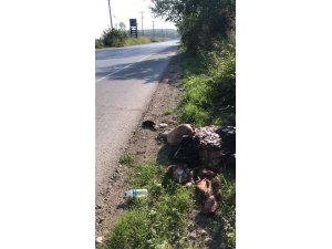Çevreye atılan kurban atıklarına vatandaşlardan tepki