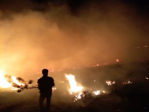 Ot yangını evlere sıçramadan söndürüldü