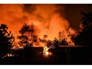 Yunanistan’daki orman yangını devam ediyor: 8 yaralı