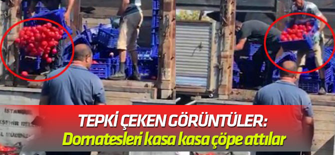 Bayrampaşa halinde tepki çeken görüntüler: Domatesleri kasa kasa çöpe attılar