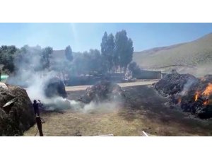 Ağrı’da çıkan yangında 110 ton ot küle döndü