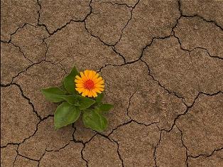 Erozyonla mücadeleye 83 yeni işçi