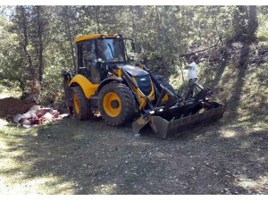 Aldıkları kurbanlık tüberküloz çıktı