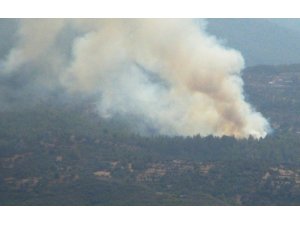 Milas’ta orman yangını