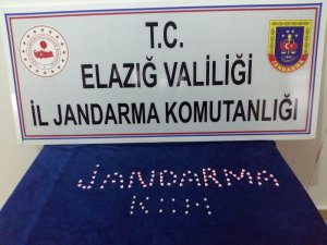 Narkotik köpeği tepki verdi, uyuşturucu ele geçirildi