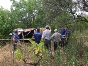 İncir toplarken boynundan asılan adam öldü
