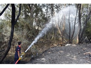 Odunlukta başlayan yangın 10 hektar alanı küle çevirdi