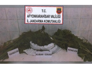 Afyon’da 1 kilo 5 gram esrar, 80 kök kenevir elegeçirildi