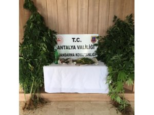 Alanya’da uyuşturucu operasyonu