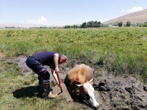 Çamura saplan inek itfaiye ekipleri tarafından kurtarıldı