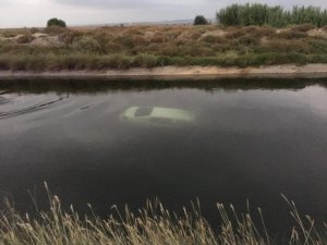 Sulama kanalına düşen otomobilde iki genç hayatını kaybetti