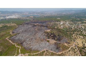 Bodrum’da kömür karasına dönen alanlar drone ile görüntülendi