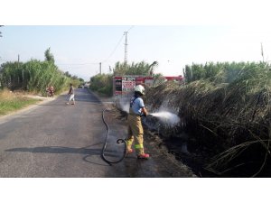 Burhaniye’de sazlık yangını