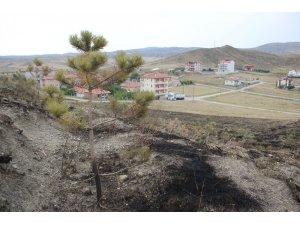 Havai fişek yangın çıkarttı