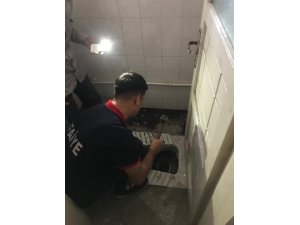 Tuvalet giderine sıkışan kediyi itfaiye kurtardı