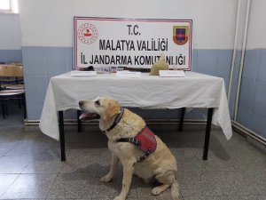 Malatya’da uyuşturucu operasyonu: 1 tutuklama