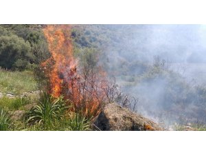 Erzincan’da örtü yangını